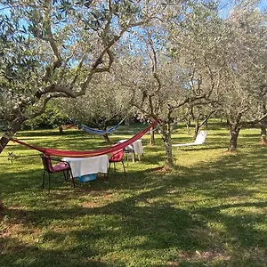  Apartament Gabriela